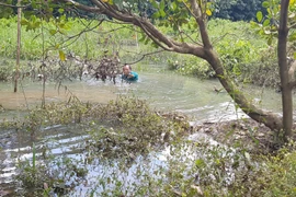Bình Phước: Bãi đãi cát hoạt động “chui” gần khu dân cư
