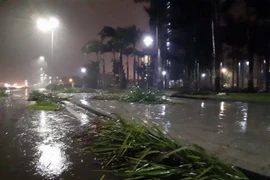 Ảnh minh họa. (Nguồn: TTXVN)