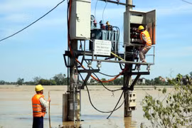Khắc phục sự cố điện lưới chuẩn bị ứng phó với bão số 8. (Ảnh: Công Tường/TTXVN)