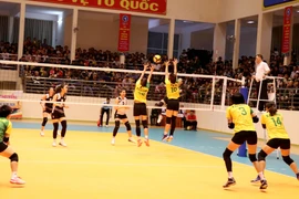 (Ảnh: Quang Thái/TTXVN)