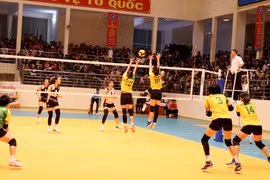 (Ảnh: Quang Thái/TTXVN)