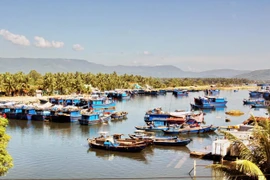 Ngư dân đưa tàu thuyền vào tránh bão. (Ảnh: TTXVN)