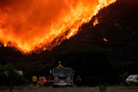 Cháy rừng tại bang California. (Ảnh: AFP/Getty)