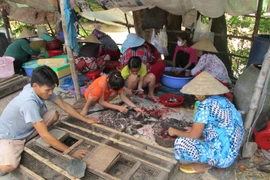 Các chủ sạp và nhân công đang tất bật làm thịt chuột để kịp giao cho khách. (Ảnh: Công Mạo/TTXVN)