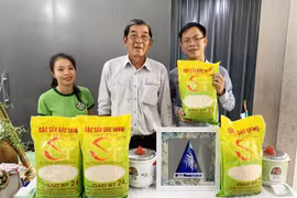 Đi tìm giống gạo ngon nhất Việt Nam để cạnh tranh trên trường quốc tế