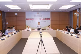 Phiên họp trực tuyến lần thứ 30 của Ủy ban Pháp luật của Quốc hội. (Ảnh: Doãn Tấn/TTXVN)
