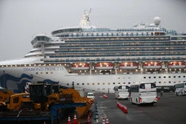 Du thuyền Diamond Princess. (Ảnh: AFP/TTXVN)
