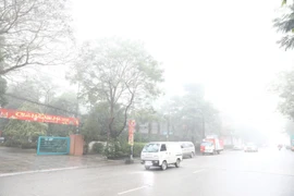 Ảnh minh họa. (Nguồn: TTXVN)