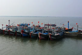 Ảnh minh họa. (Nguồn: TTXVN)