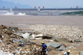 Sông Dương Tử bị ô nhiễm nghiêm trọng. (Ảnh: AFP/Getty)