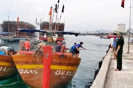 [Photo] Các địa phương triển khai phương án phòng chống bão số 5