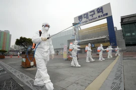 Phun thuốc khử trùng tại Daegu. (Ảnh: Yonhap/TTXVN)