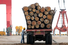 Gỗ nhập khẩu Australia tại tỉnh Giang Tây, Trung Quốc. (Ảnh: Reuters)