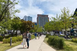 Cuộc sống người dân Hàn Quốc dần quay trở lại bình thường