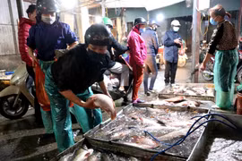 Chợ Phùng Khoang mỗi ngày đêm cung cấp hơn 10 tấn rau, củ, quả, thịt, cá các loại. (Ảnh: Vũ Sinh/TTXVN)