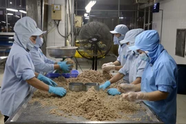 Indonesia đề cao sự tăng trưởng kinh tế của Việt Nam trong đại dịch