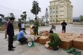 Số pháo nổ bị cơ quan chức năng thu giữ. (Ảnh: TTXVN phát)