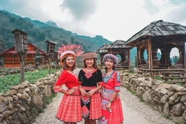 Thị trường tour du lịch bắt đầu sôi động khi Tết Tân Sửu cận kề