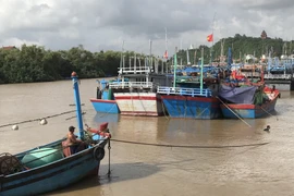 Ngư dân Phú Yên neo đậu tàu thuyền tránh trú bão. (Ảnh: Phạm Cường/TTXVN)