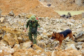 Chó nghiệp vụ tham gia tìm kiếm những nạn nhân mất tích tại Thủy điện Rào Trăng 3. (Ảnh: TTXVN phát)