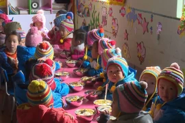 Ảnh minh hoạ. (Nguồn: TTXVN)