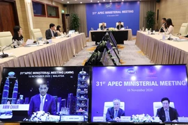Các hoạt động thông thường của APEC đều được diễn ra theo hình thức trực tuyến. (Ảnh: Lâm Khánh/TTXVN)
