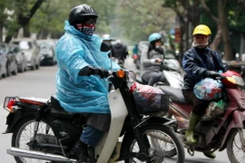 Ảnh chỉ có tính minh họa. (Ảnh: Nhật Anh/TTXVN)