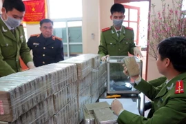 Ảnh chỉ có tính minh họa. (Ảnh: Thu Hằng/TTXVN)