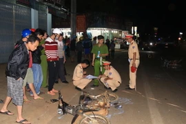 Ảnh chỉ có tính minh họa. (Ảnh: Phạm Cường/TTXVN)