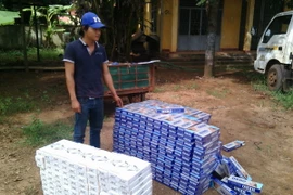 Ảnh chỉ có tính minh họa. (Ảnh: Đậu Tất Thành/TTXVN)