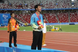 ASEAN Para Games 8: Đoàn thể thao Việt Nam phá 16 kỷ lục