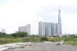 (Ảnh minh họa: Trần Xuân Tình/TTXVN)