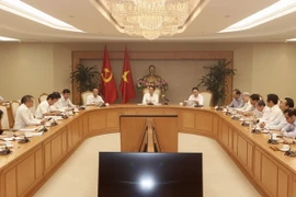 Phó Thủ tướng Vũ Đức Đam, Chủ tịch Hội đồng chủ trì cuộc họp. (Ảnh: Lâm Khánh/TTXVN)