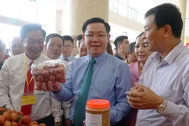 Phó Thủ tướng Vương Đình Huệ thăm gian trưng bày vải thiều của huyện Lục Ngạn. (Ảnh: Tùng Lâm/TTXVN)