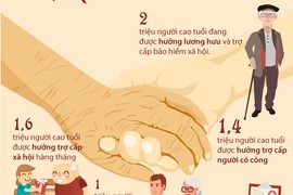 Người cao tuổi ở Việt Nam đang được quan tâm như thế nào?