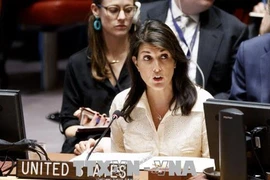Đại sứ Mỹ tại Liên hợp quốc Nikki Haley. (Nguồn: EPA/ TTXVN)