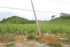 Hiện trường nơi người bị điện giật tử vong khi thi công cột viễn thông tại địa bàn xã Hạ Sơn, huyện Quỳ Hợp (Nghệ An). (Ảnh: Nguyễn Oanh/TTXVN)
