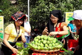 Xoài Yên Châu. (Ảnh: Nguyễn Cường/TTXVN)