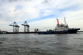 (Ảnh minh họa: Đoàn Mạnh Dương/TTXVN)