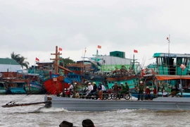 (Ảnh minh họa: Thanh Liêm/TTXVN)