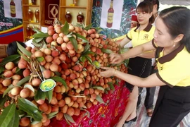 Gian hàng vải thiều của xã Thanh Bính. (Ảnh: Lâm Khánh/TTXVN)