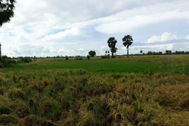 (Ảnh minh họa: Lê Sen/TTXVN)