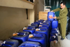 (Ảnh minh họa: Trần Việt/TTXVN)