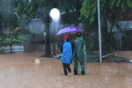 (Ảnh minh họa: Minh Tâm/TTXVN)