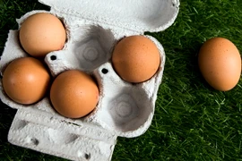 Trứng gà mua tại một siêu thị ở Paris, Pháp. (Nguồn: EPA/TTXVN)