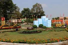 Đường hoa tại thị xã Đồng Xoài, Bình Phước. (Ảnh: Dương Chí Tưởng/TTXVN)