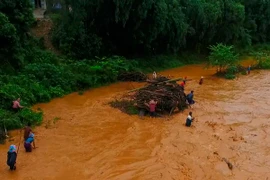 Người dân mạo hiểm tính mạng để vớt củi. (Ảnh: Xuân Tư/TTXVN)