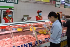 (Ảnh minh họa: Thanh Vũ/TTXVN)