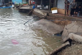 Hiện trường vụ sạt lở tại xã Đất Mũi, huyện Ngọc Hiển. (Ảnh: Huỳnh Thế Anh-TTXVN)