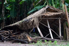 Nhiều vật nuôi, tàn sản ại bản Cà Là Pá, xã Leng Su Sìn (Mường Nhé, Điện Biên) bị lũ cuốn trôi, vùi lấp. (Ảnh: Văn Dũng/TTXVN)